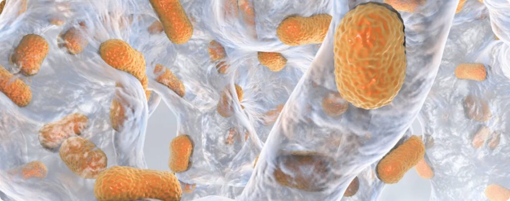 Biofilm bakteryjny w przybliżeniu w instalacji wodociągowej.