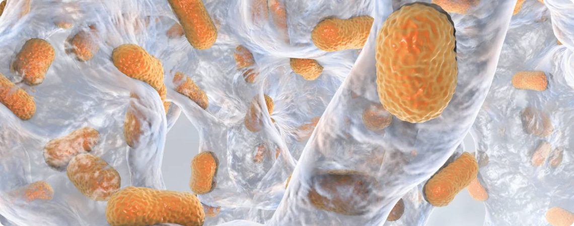 Biofilm bakteryjny w przybliżeniu w instalacji wodociągowej.