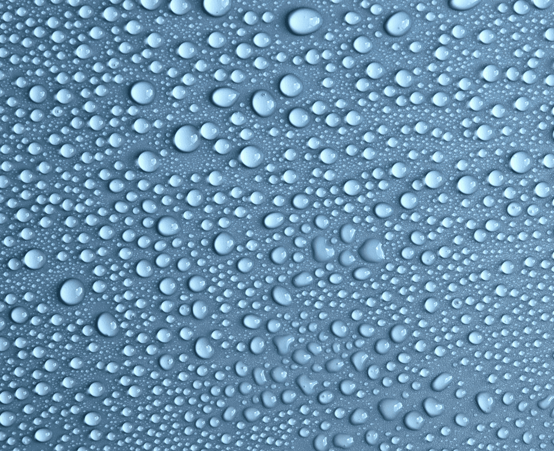 Aerozol wodny jako czynnik sprzyjający zakażeniu bakteriami Legionella.