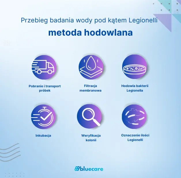 infografika badania wody Legionella - metoda hodowlana