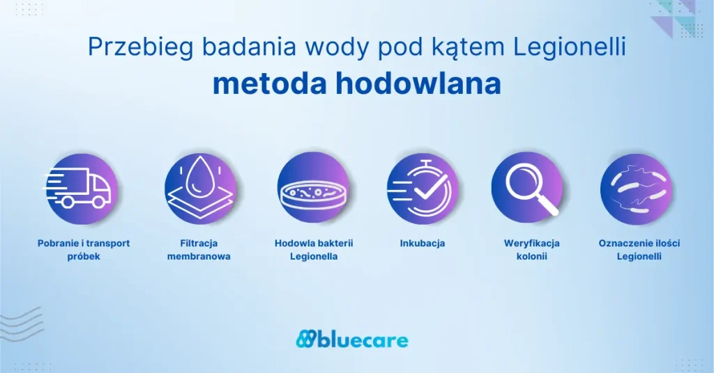 infografika badania wody Legionella - metoda hodowlana
