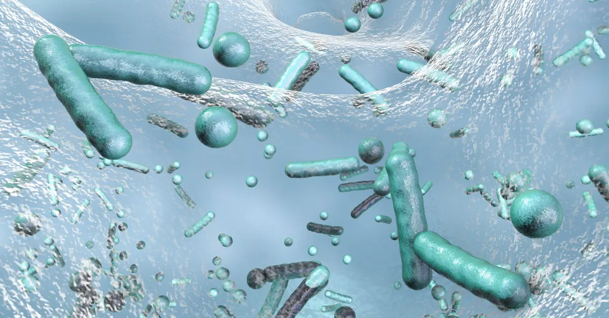 Pałeczki Legionella w wodzie.