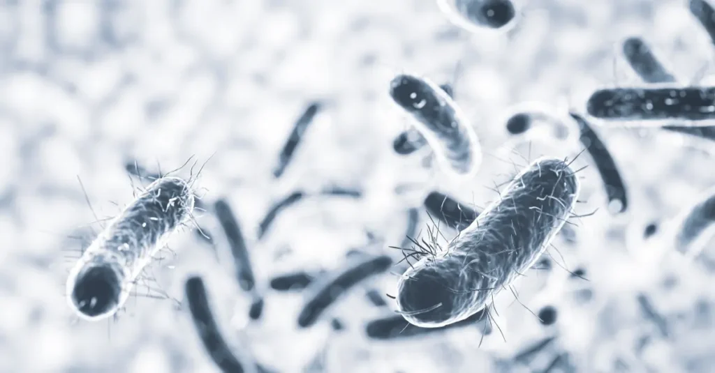 Bakterie Legionella