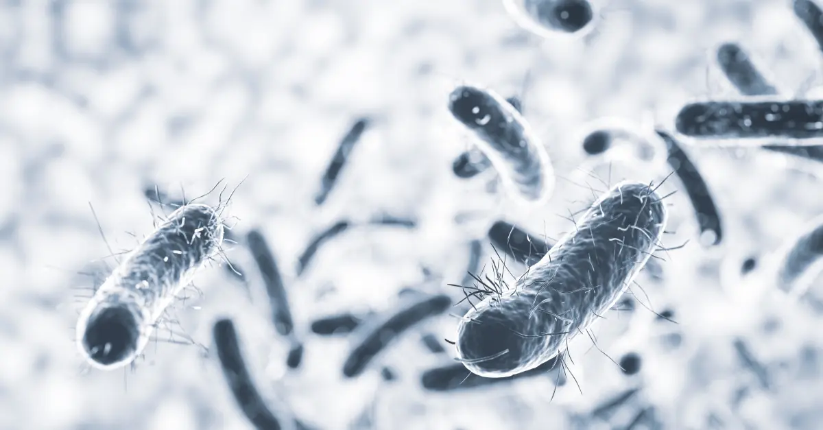 Bakterie Legionella