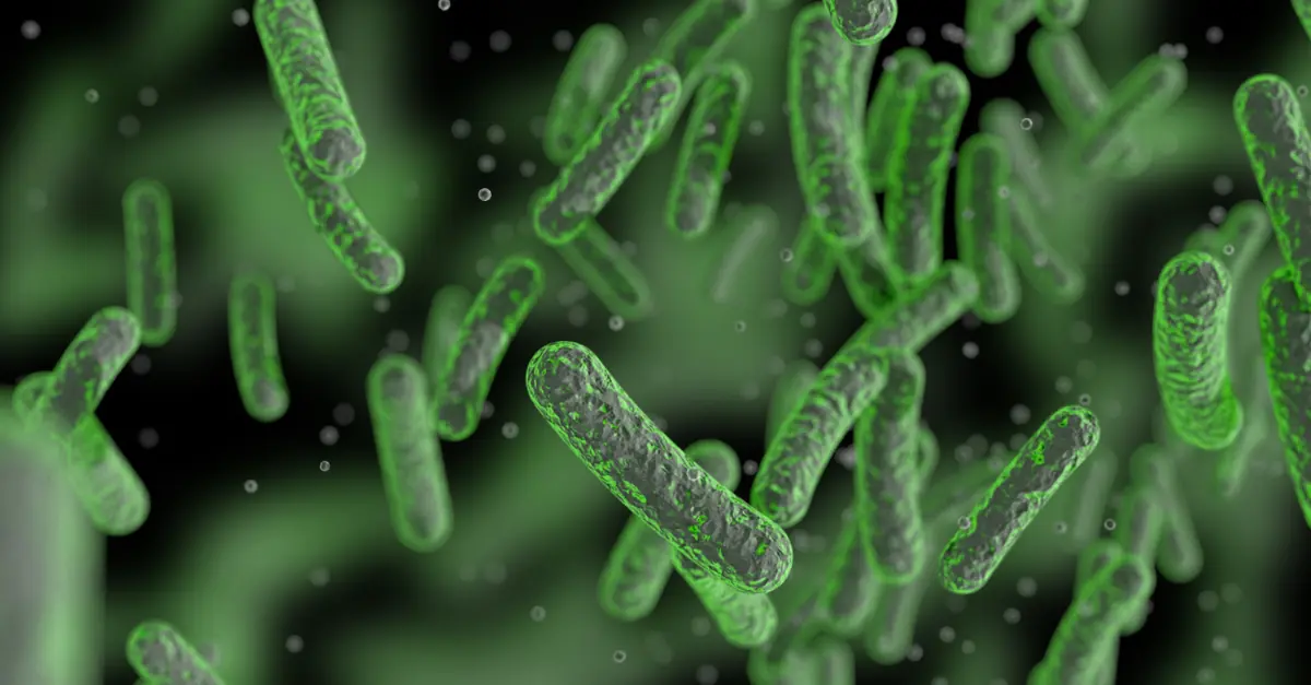 legionella