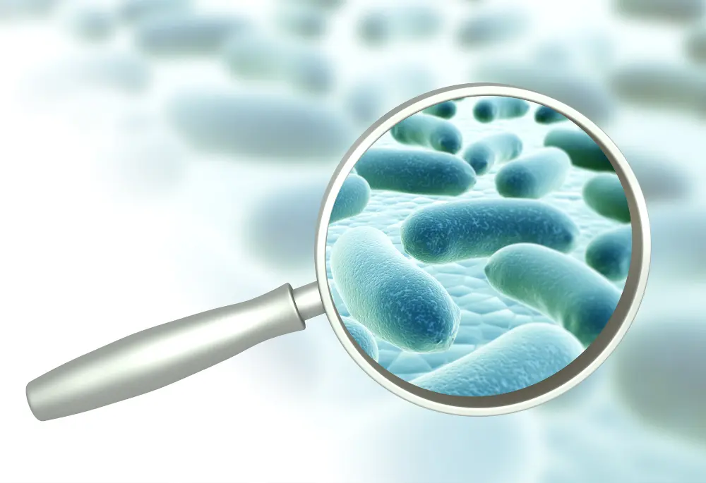Lupa ustawiona na powierzcnię bakterii Legionella