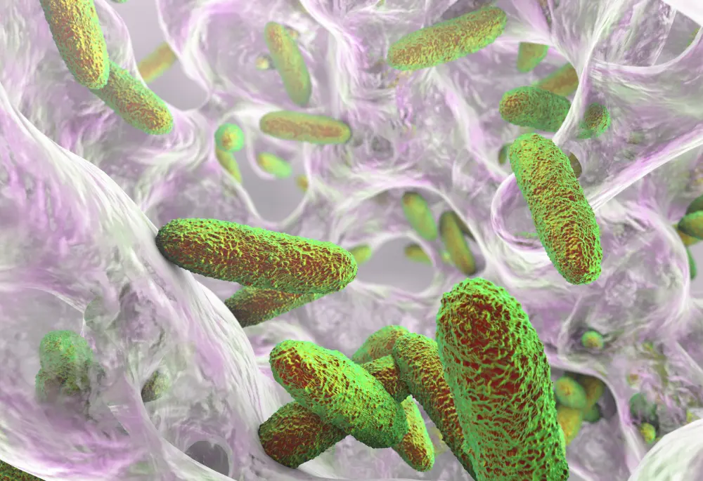 Biofilm zawierający bakterie Pseudomonas