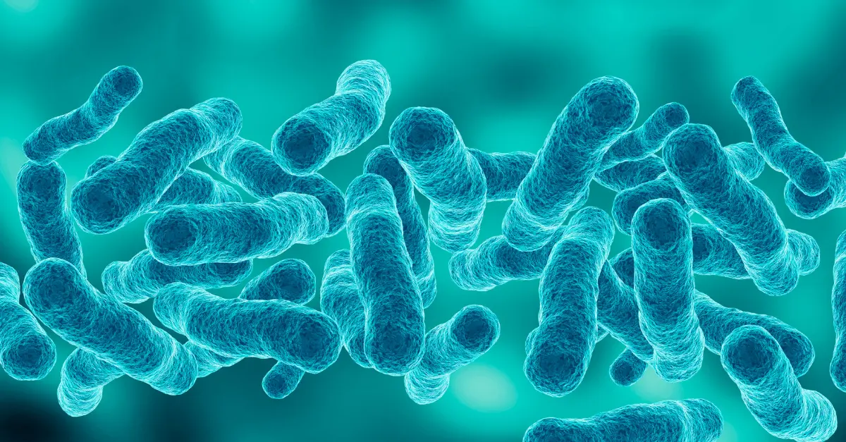 Legionella w Wielkopolsce