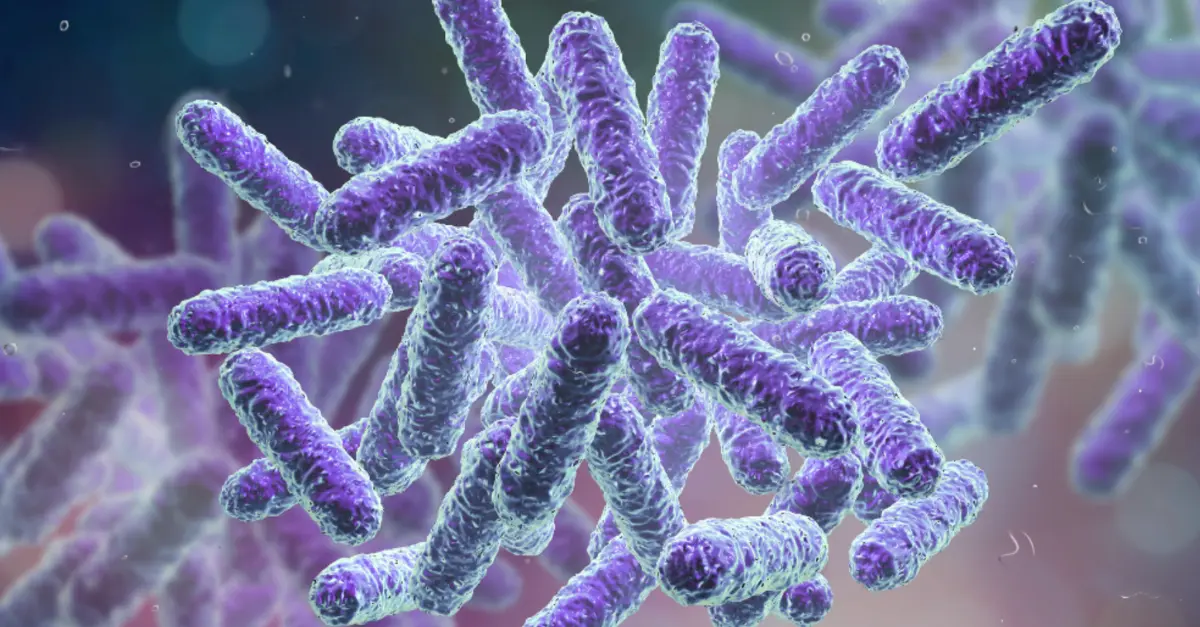 raport legionella w zachodnipomorskim