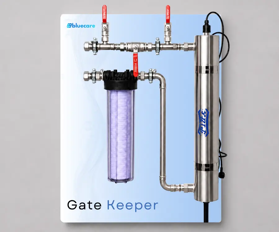 System Gate Keeper
